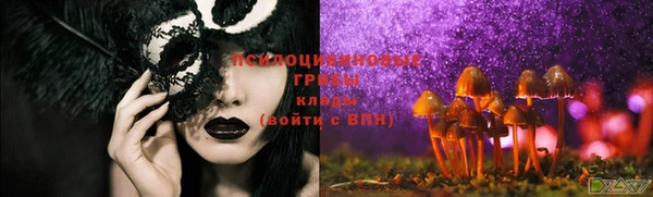 стаф Ладушкин