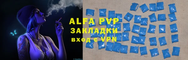 стаф Ладушкин