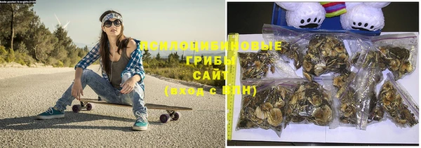 стаф Ладушкин