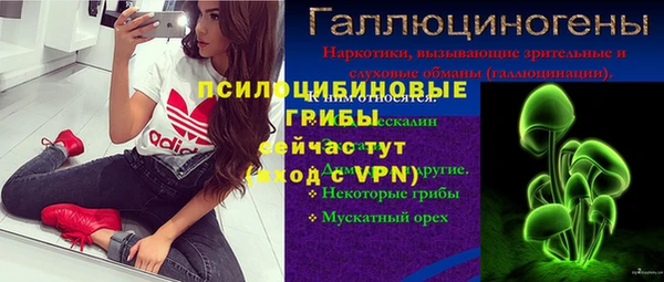 трава Лабытнанги