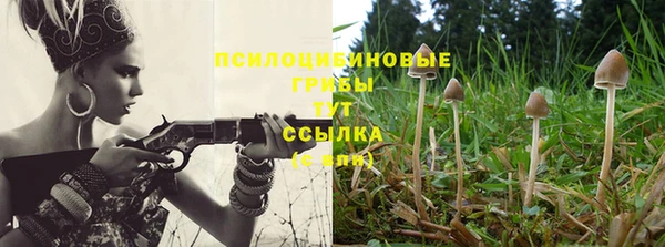 трава Лабытнанги