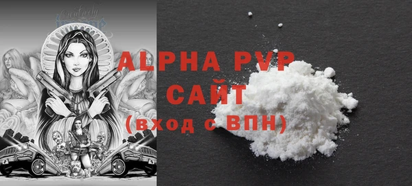 ECSTASY Лагань
