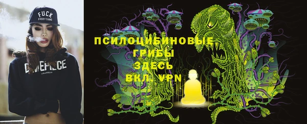 крисы Новодвинск