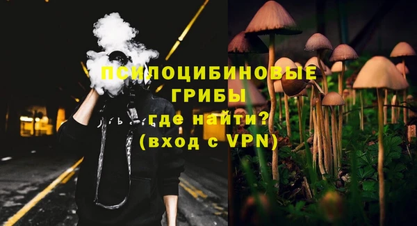 ECSTASY Лагань