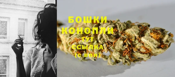 трава Лабытнанги