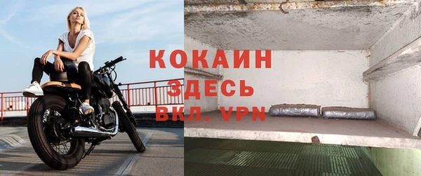 крисы Новодвинск
