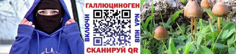 Галлюциногенные грибы Cubensis  наркошоп  Черняховск 