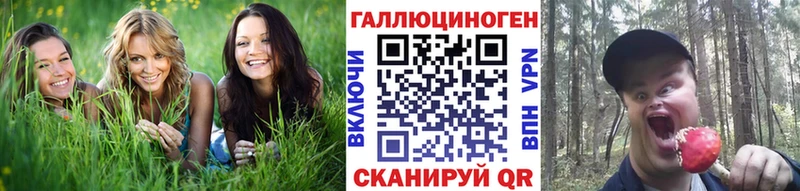 Галлюциногенные грибы прущие грибы Черняховск