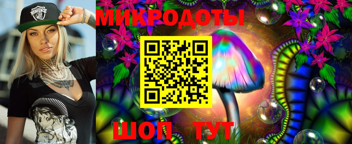 Псилоцибиновые грибы Psilocybe  Черняховск  Галлюциногенные грибы Cubensis 